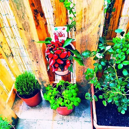 I Filoksenia Bed and Breakfast