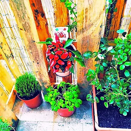 Bed and Breakfast I Filoksenia