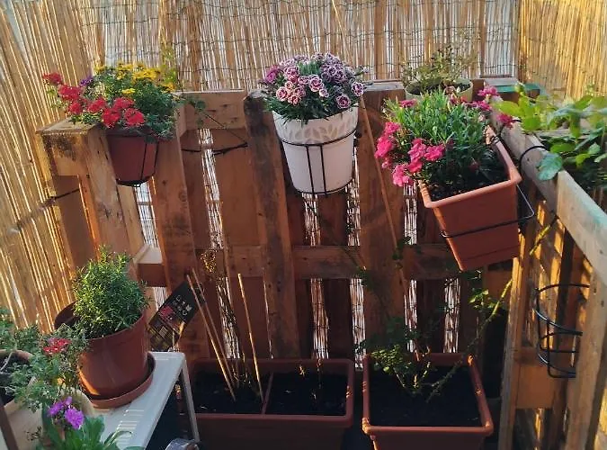 I Filoksenia Τεργέστη